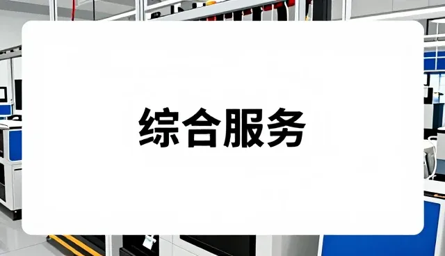 项目实施支持