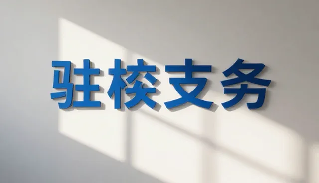 项目实施支持中的品牌策略选型关键点